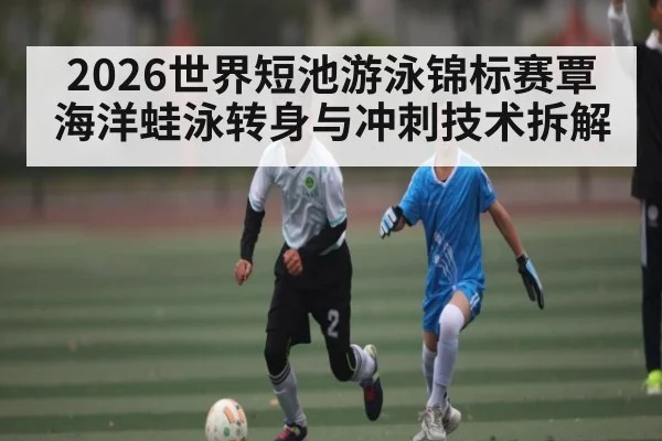 2026世界短池游泳锦标赛覃海洋蛙泳转身与冲刺技术拆解